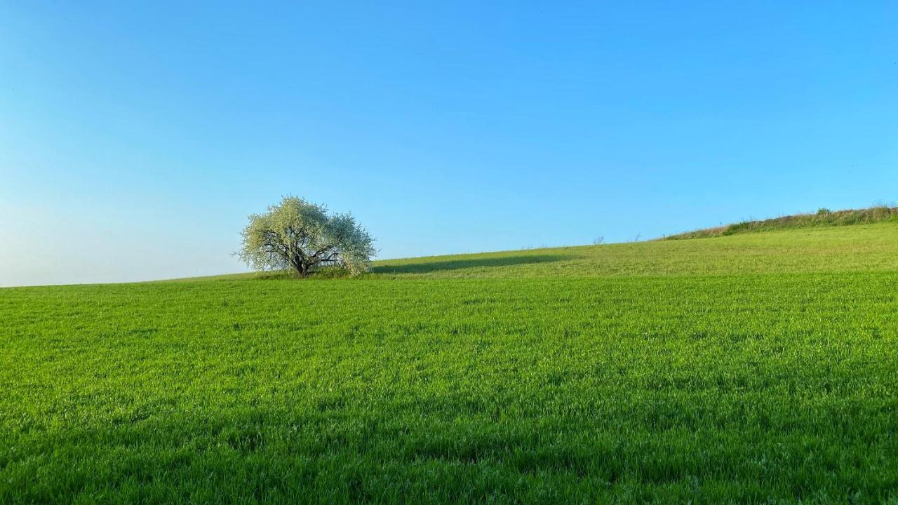 קסטיליונה דלה סטיביירה Agriturismo Albana מראה חיצוני תמונה